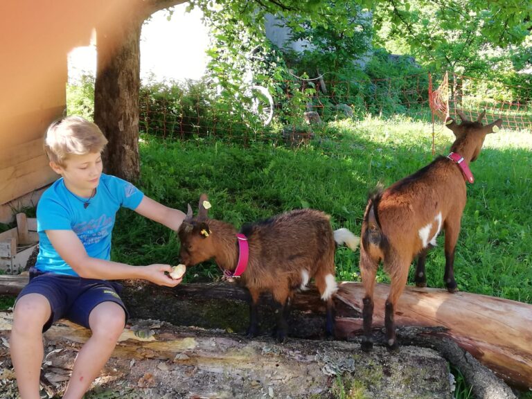 WhatsApp Image 2026-01-20 at 13.00